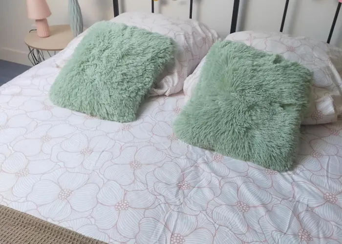 Apartment Bulles De Bonheur